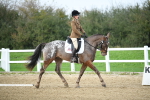 LAD_5451