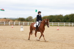 SBM_001351