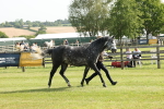 SBM_00727