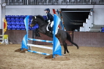 SBM_002208