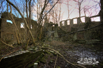 Griffe Mill 5
