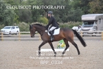 BPP_0334