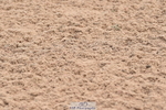 230611A-093532-04541