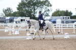 SBM_00494