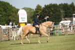 SBM_10226