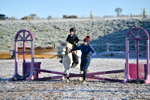 231202A-101047-00114