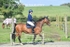 BPP_7965