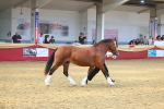 SBM_16713