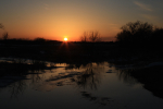 Winter thaw sunset