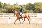 SBM_016904