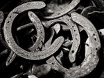 Horse Shoes 01