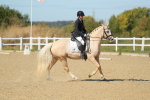 SBM_001561