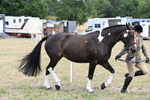 WJ6_5867