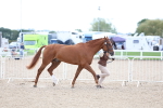 SBM_15353