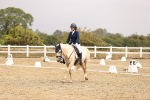 SBM_002078