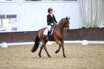 SBM_006095