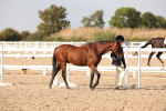 SBM_08124