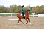 SBM_002597