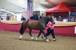 SBM_14701