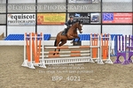 BPP_4021