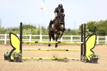 SBM_004309