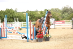 SBM_007439