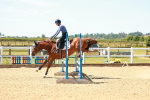 SBM_005693