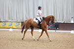 SBM_009280