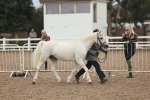 SBM_08491