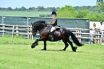SBM_07930