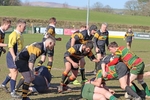 Kendal Social Rugby v Selby portfolio