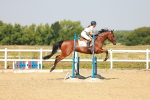 SBM_000263