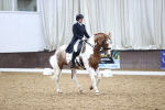 SBM_006964