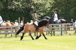 SBM_07038