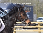 BPP_8137