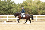 SBM_003724