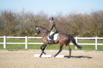 SBM_003408