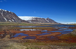 Westfjords, Iceland