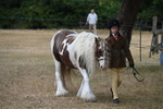 WJ6_7903