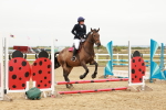 SBM_007419