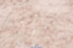 240505A-093342-04253