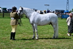 SBM_03852