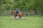WJ6_3222