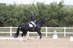 SBM_002974