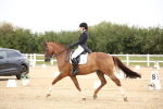 SBM_020204