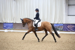 SBM_003294