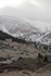 "Leadville"