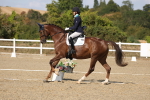 SBM_022632