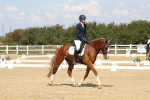 SBM_001446