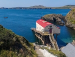 St. Justinian and RSPB Ramsey Island, Pembrokeshire